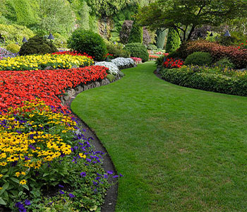 Landscaped garden 